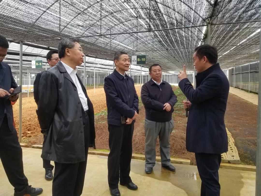 尊龙凯时人生就是搏集团·(中国)官网