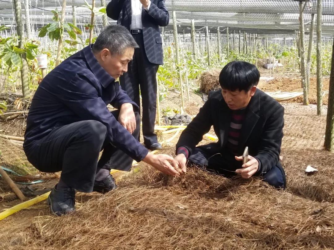尊龙凯时人生就是搏集团·(中国)官网