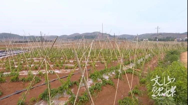 尊龙凯时人生就是搏集团·(中国)官网