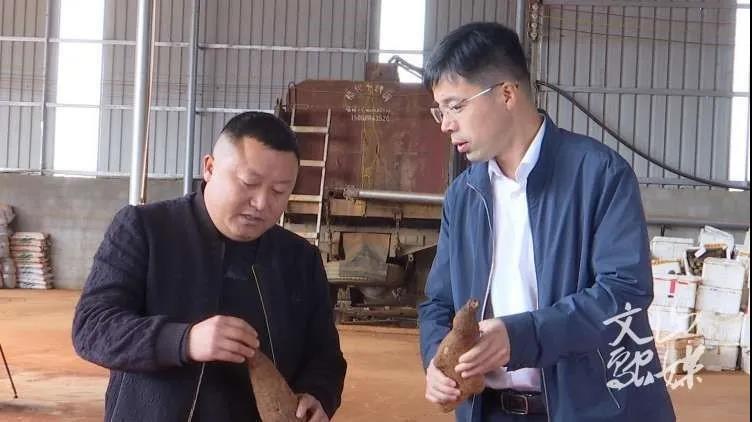 尊龙凯时人生就是搏集团·(中国)官网
