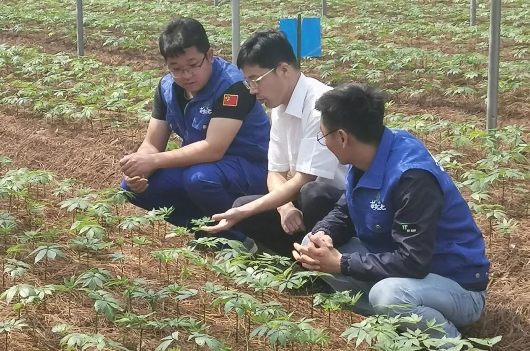 尊龙凯时人生就是搏集团·(中国)官网